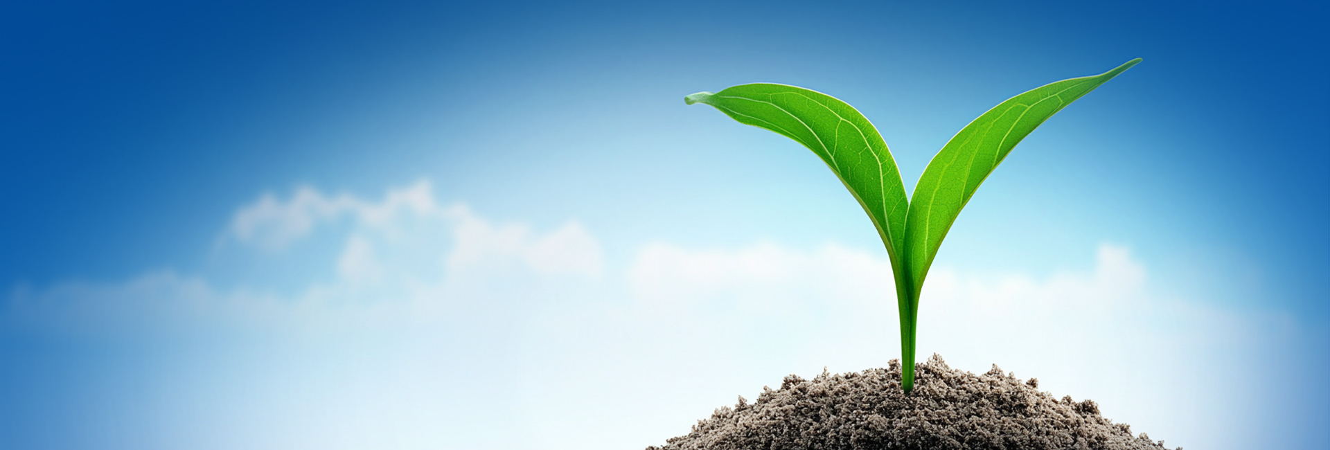 z6com������-(�й�)��˾�ٷ���վ